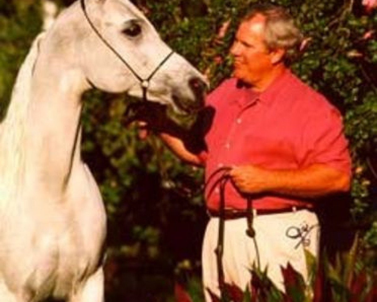 broodmare Glorietasayonaara EAO (Arabian purebred, 1983, from Ansata Abu Nazeer 1974 EAO)