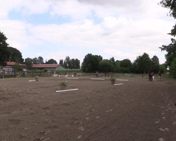 Holsteiner Fohlenschau in Krummesse 2021