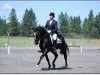 dressage horse Rabenschwarz (Zweibrücken, 2006, from Radikal)