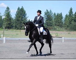 dressage horse Rabenschwarz (Zweibrücken, 2006, from Radikal)