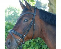 dressage horse Dancing Dieter (Czech Warmblood, 2002, from Dantes)