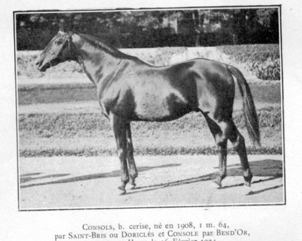 stallion Consols xx (Thoroughbred, 1908, from Doricles xx)