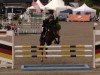 jumper Nastano T (German Riding Pony, 2009, from Nibelungenheld)