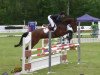 jumper Chiapas 2 (Oldenburg show jumper, 2009, from Chacco-Blue)