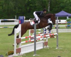 jumper Chiapas 2 (Oldenburg show jumper, 2009, from Chacco-Blue)