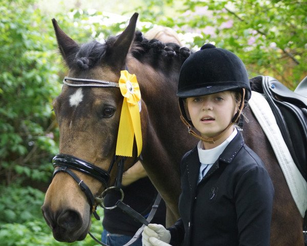 dressage horse Candy-Girl 6 (German Riding Pony, 2003, from Pancho)