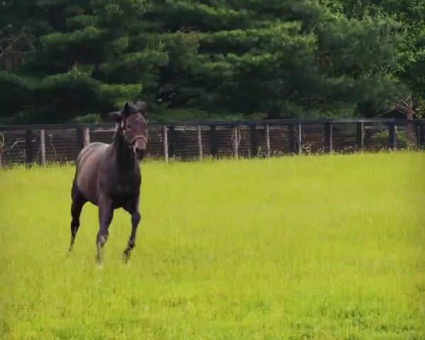 Video of Spun To Run xx