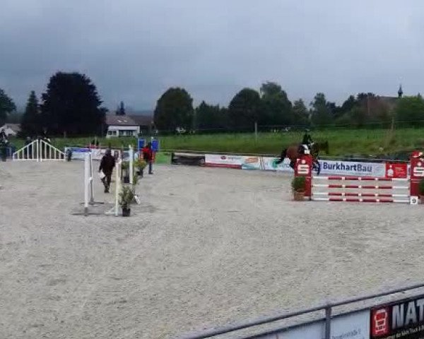Video of Acento 5