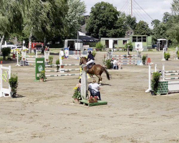 Video von Glyn