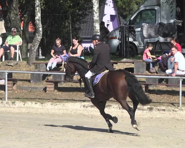Reitturnier Neunkirchen-City 2021