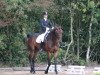 dressage horse Ruby-Baccari (Hanoverian, 2002, from Rubin Royal OLD)