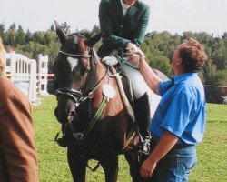 jumper Kaprizio (Trakehner, 2000, from Kostolany)