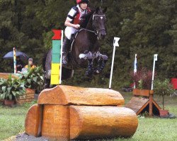 Zuchtstute Kiara (Trakehner, 2005, von Silvermoon)