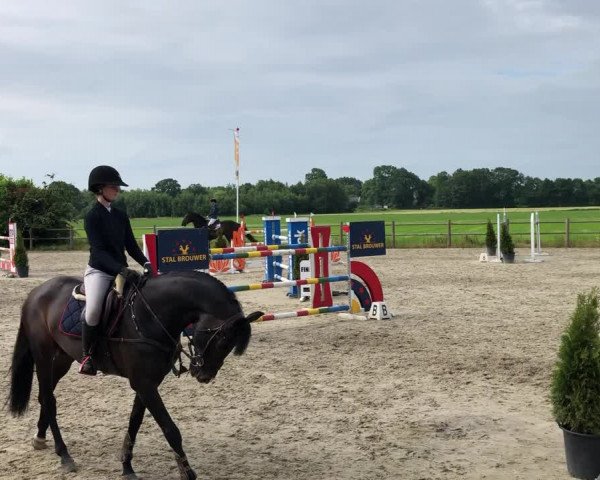 Video of Enigma