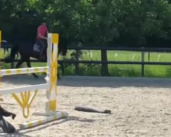 Video of Get It Easy DK