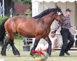 broodmare Hanni (Westphalian, 2003, from Hanniball)