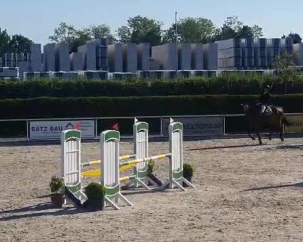 Video of Cascadero 10