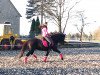 dressage horse Coco Girl 2 (German Riding Pony, 1996, from Unbekannt PONY)