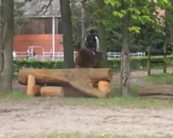 Video of Aktispeed xx