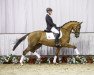 dressage horse Donna Leon (Westphalian, 2012, from Don Juan de Hus)