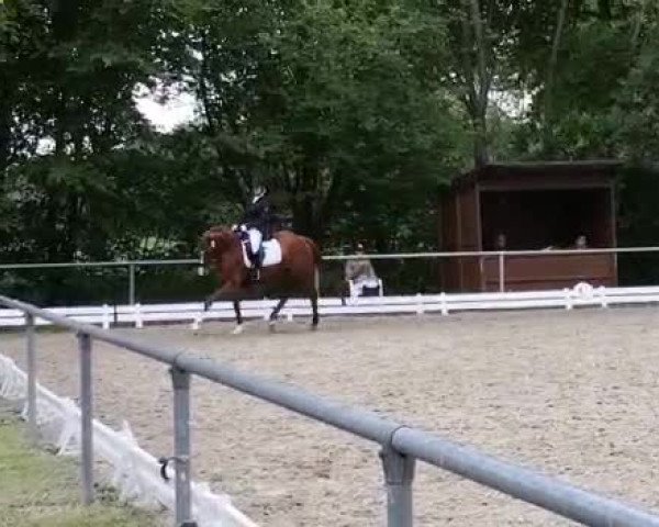 Video of Scavi Del Ray
