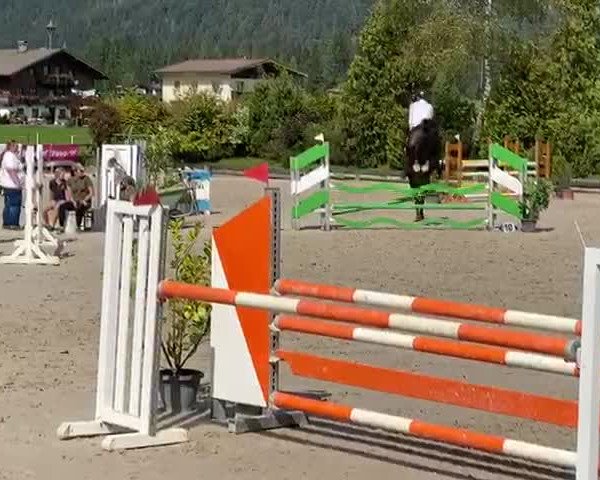 Video of Darcos Dree Boeken