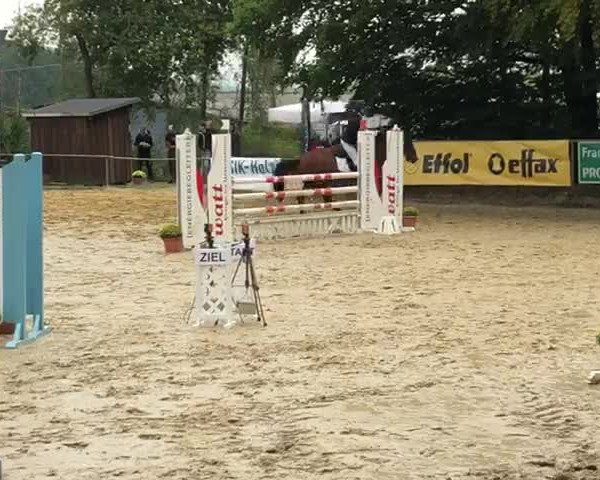 Video von Legacy 9