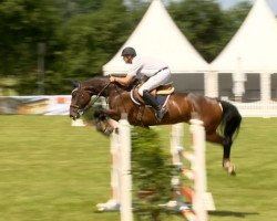 jumper Quimala (Hanoverian, 2008, from Quintender 2)