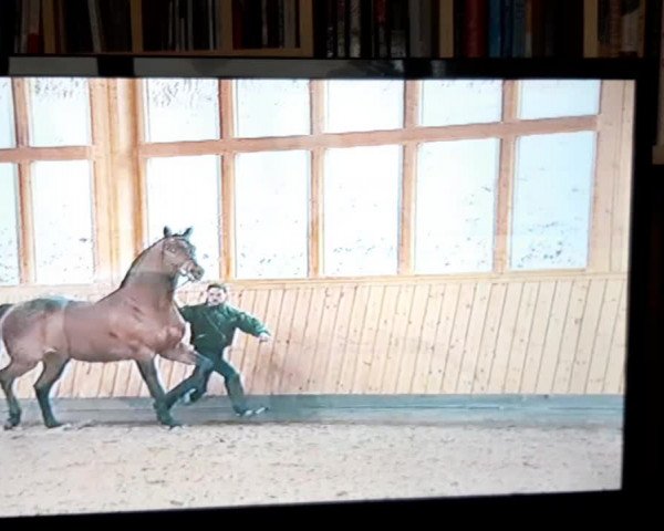 Video of Tycoon
