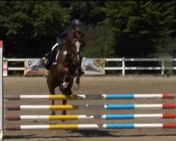 jumper For Fun Tf (German Riding Pony, 2009, from For Kids Only)