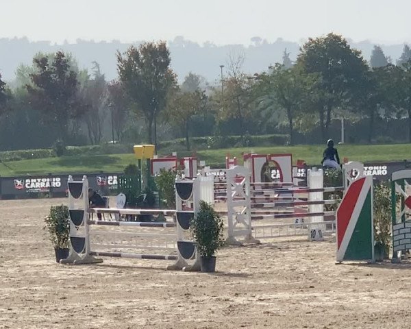 Video of Quintana VII