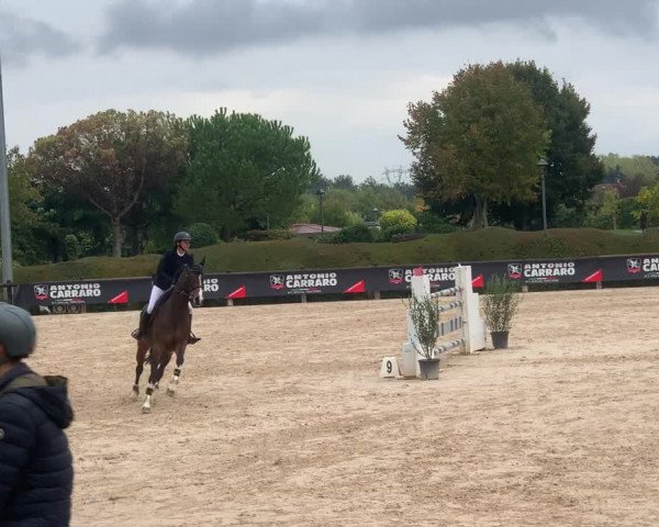 Video of Quintana VII