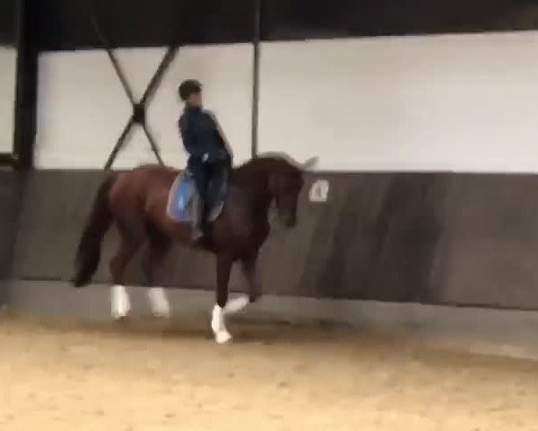 Video of Famous Delilah