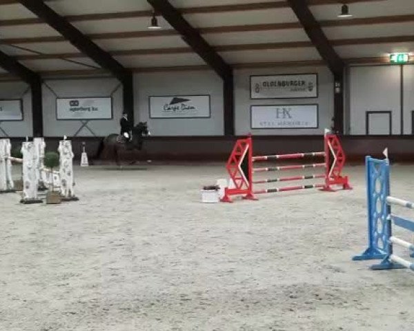 Video von Nevada van't Zand