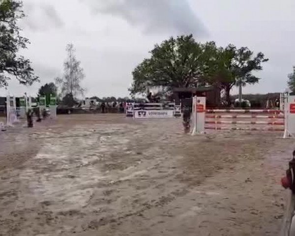 Reitturnier Lüchow- Rehbeck 2019