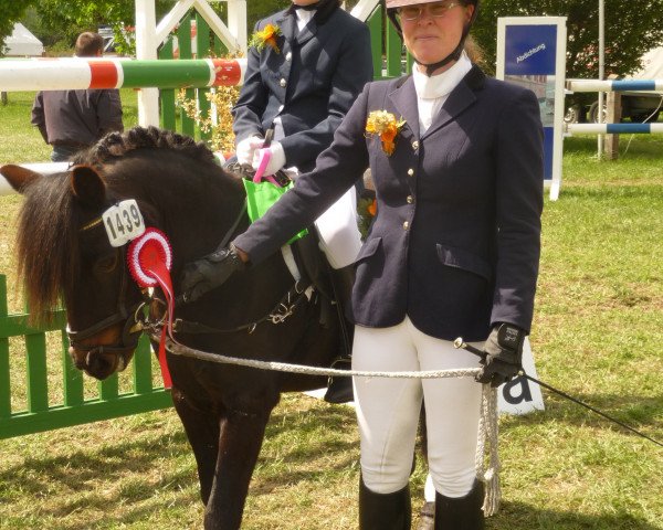 dressage horse Blacky 850 (Shetland Pony, 1996)