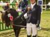 dressage horse Blacky 850 (Shetland Pony, 1996)