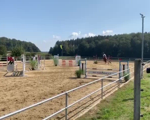 Reitturnier Dunzenhausen 2020