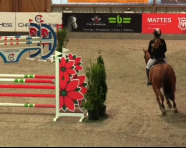 Reitturnier Negernbötel, 1. Nordic Jumping event 2020/2021
