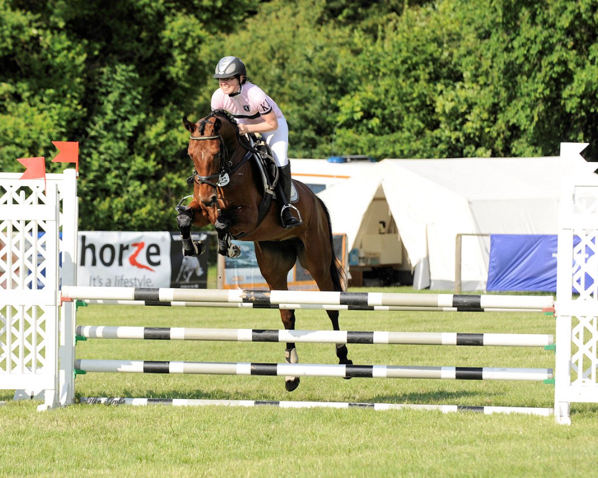 jumper Cocolotta (German Warmblood, 2010, from Coco Maurice)