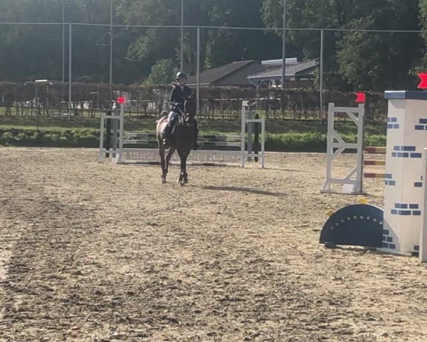 Reitturnier Straelen 2020