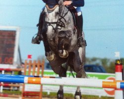 jumper Cassis 54 (Bavarian, 2005, from Candidatus)