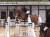 jumper Chacco Europa (Oldenburg show jumper, 2009, from Chacco-Blue)