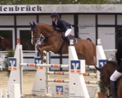 jumper Chacco Europa (Oldenburg show jumper, 2009, from Chacco-Blue)