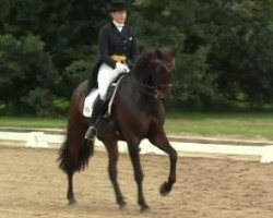 Dressurpferd Whycocomagh (KWPN (Niederländisches Warmblut), 2003, von Diamond Hit)