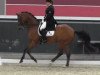 dressage horse Dornfelder 4 (Trakehner, 1997, from Caprimond)