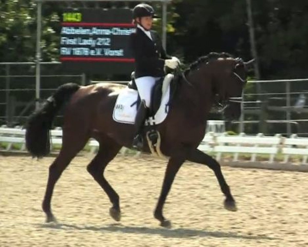 dressage horse First Lady 212 (Württemberger, 2006, from Florencio I)
