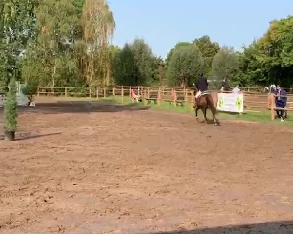 Video of Ludmilla