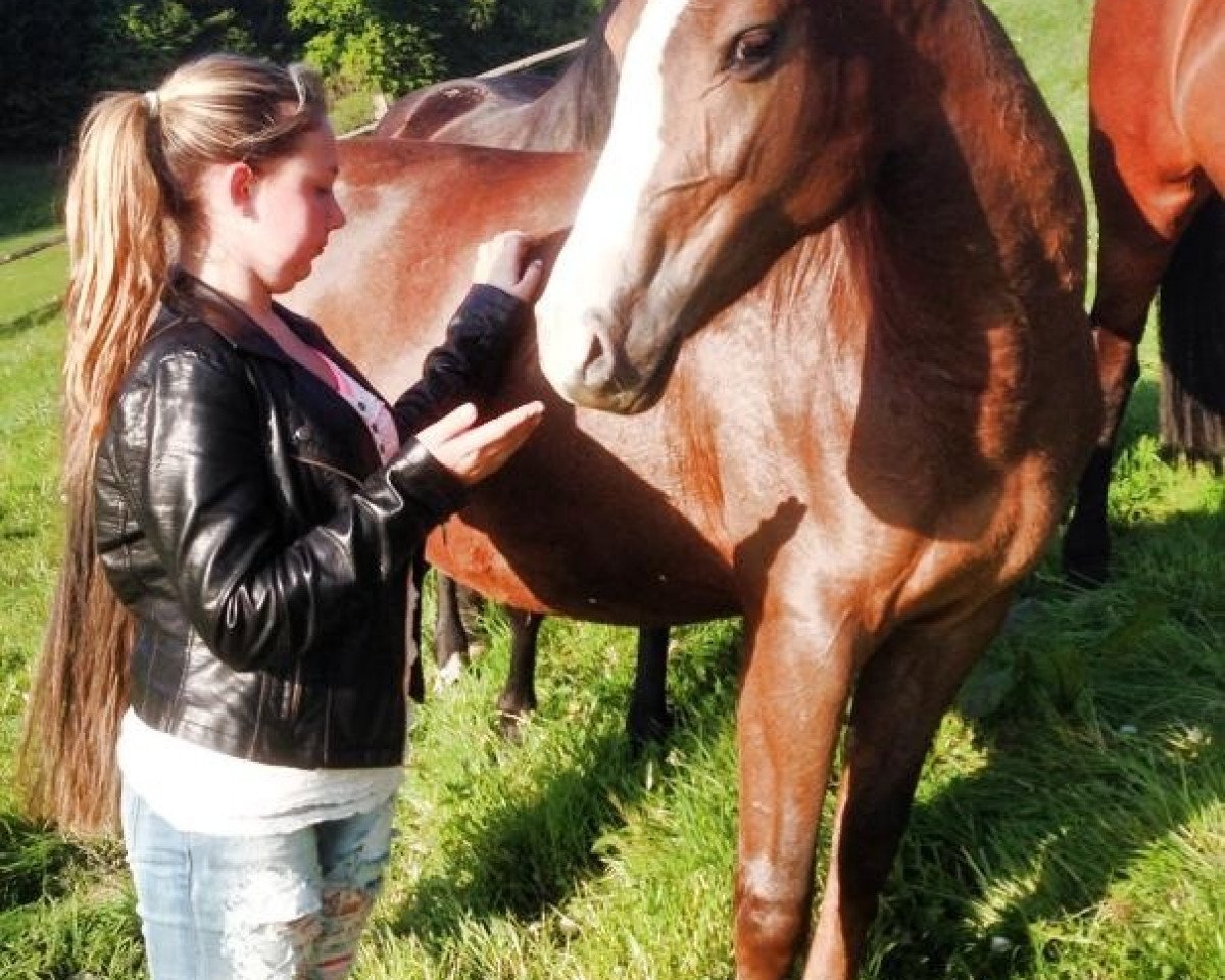 dressage horse Bonny`s Magic Girl (German Riding Pony, 2012, from Erfttal Duncan)