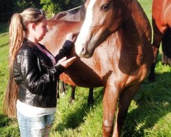 dressage horse Bonny`s Magic Girl (Deutsches Reitpony, 2012, from Erfttal Duncan)